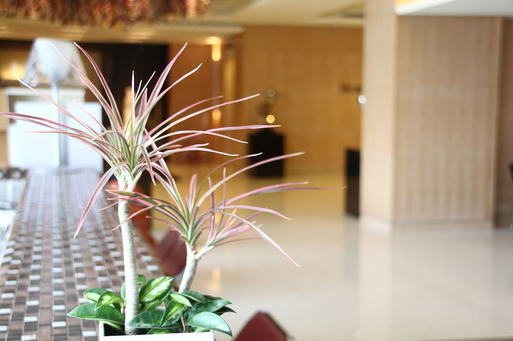 Beacon Hotel Taichung Buitenkant foto